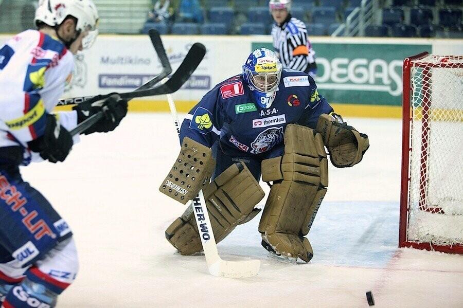 Marek Pinc ve speciální hnědé výstroji, foto: www.hcbilitygri.cz